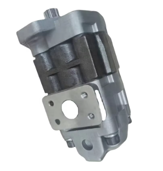374-9554-Gear Pump-D10T2 D10